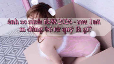 ảnh so sánh tk88 2026   sau 1 năm dùng bộ tứ quý là gì