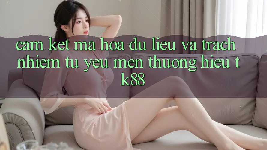 Cam Kết Mã hóa dữ liệu Và Trách Nhiệm Từ Yêu mến thương Hiệu TK88